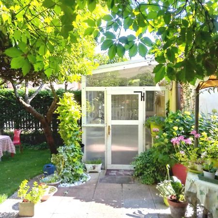 Taglio di Po Bed And Breakfast Di Manu מראה חיצוני תמונה