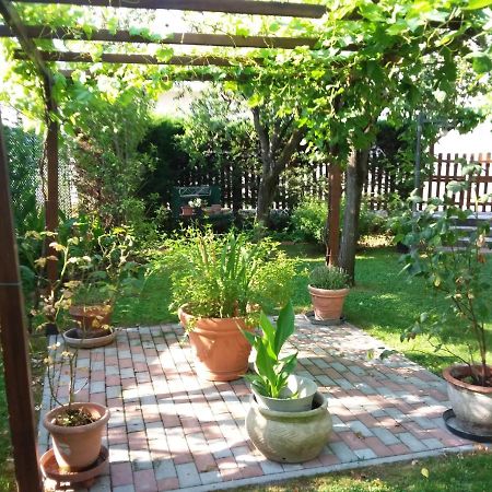 Taglio di Po Bed And Breakfast Di Manu מראה חיצוני תמונה