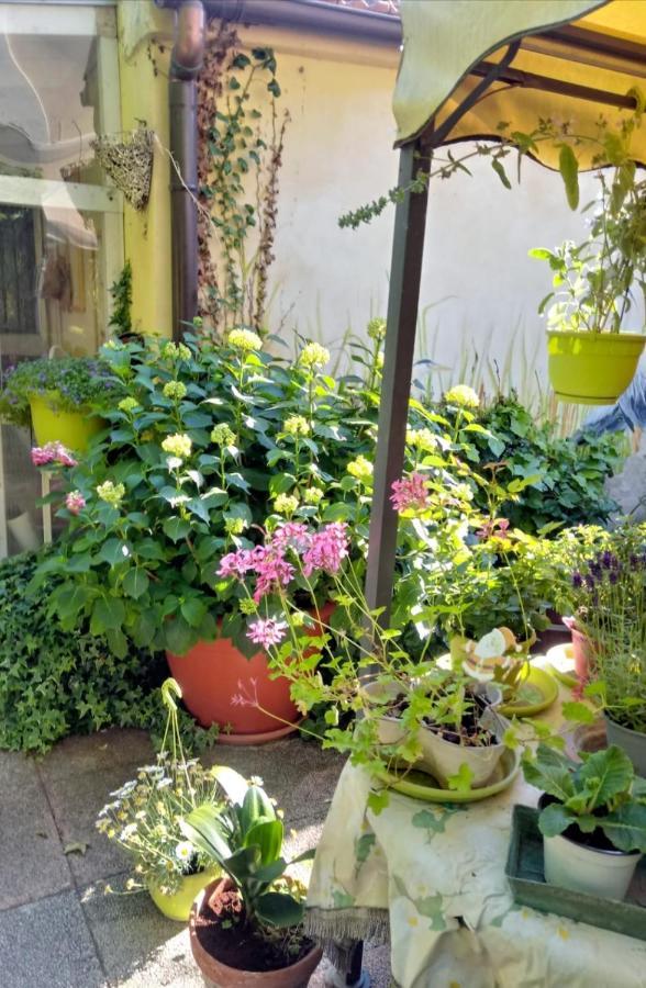 Taglio di Po Bed And Breakfast Di Manu מראה חיצוני תמונה